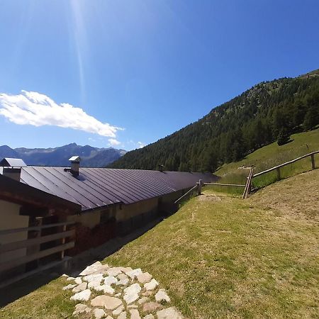 فندق Restor Natura Malga Mondent Pracorno di Rabbi المظهر الخارجي الصورة