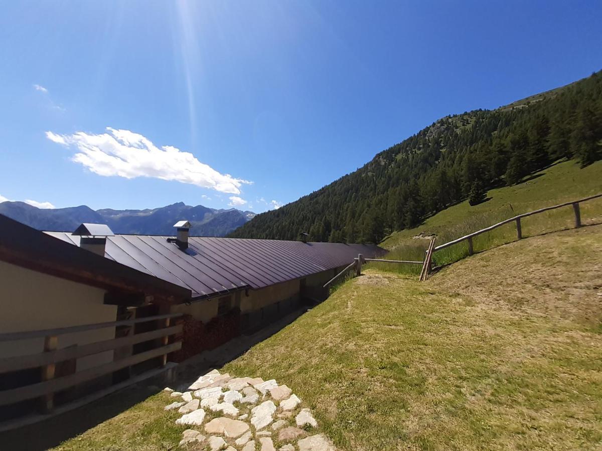 فندق Restor Natura Malga Mondent Pracorno di Rabbi المظهر الخارجي الصورة