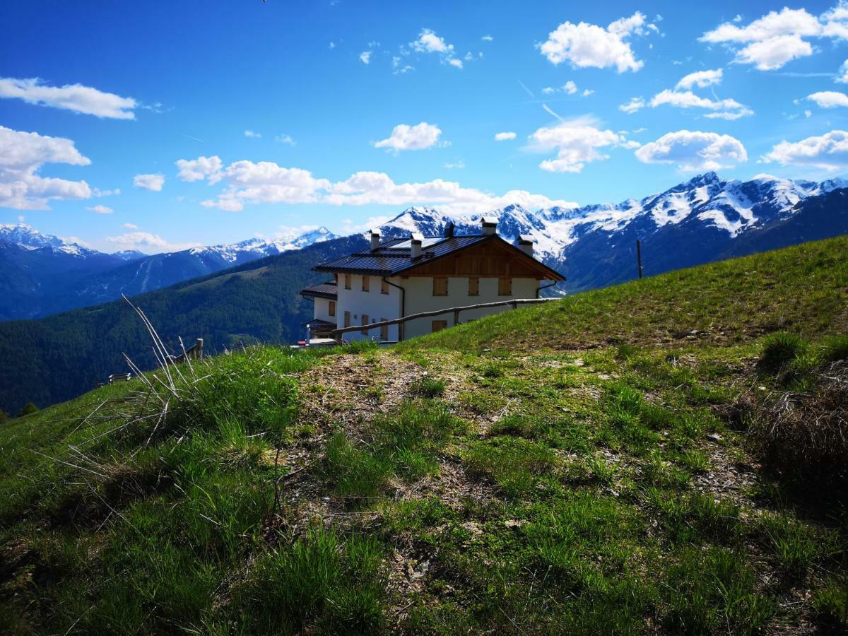 فندق Restor Natura Malga Mondent Pracorno di Rabbi المظهر الخارجي الصورة