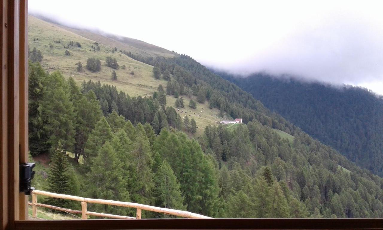 فندق Restor Natura Malga Mondent Pracorno di Rabbi المظهر الخارجي الصورة